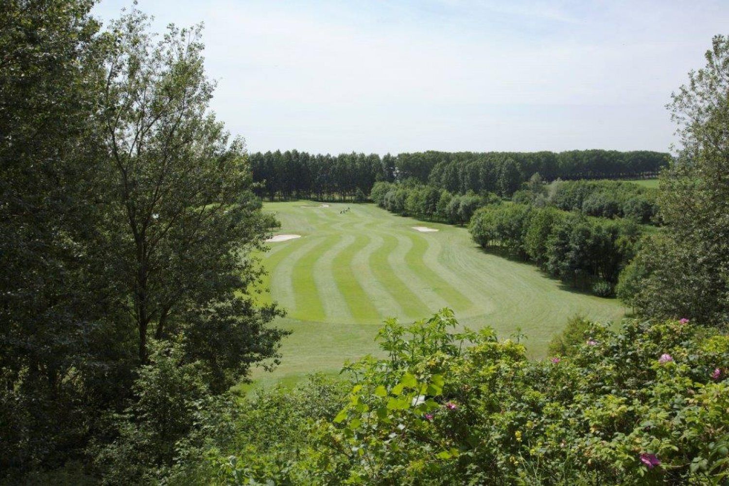BurgGolf_zoetermeer_fairway_anwbgolf